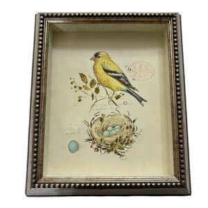 Framed Deep Set Ornate Picture of Yellow Bird with Nest Wall Art